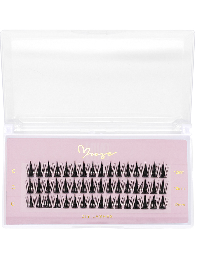 12mm-WT08.jpg 12mm-WT08.jpg