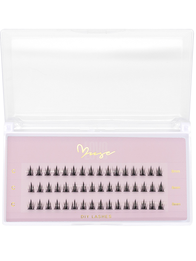 8mm-WT08.jpg 8mm-WT08.jpg